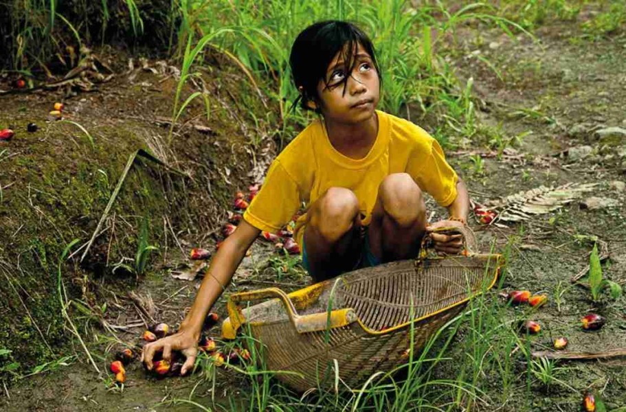 Banyak Perkebunan Asing , Daripada Jadi Penonton Anak Riau Dipersiapkan Jadi Buruh Sawit dan Tenaga Terampil