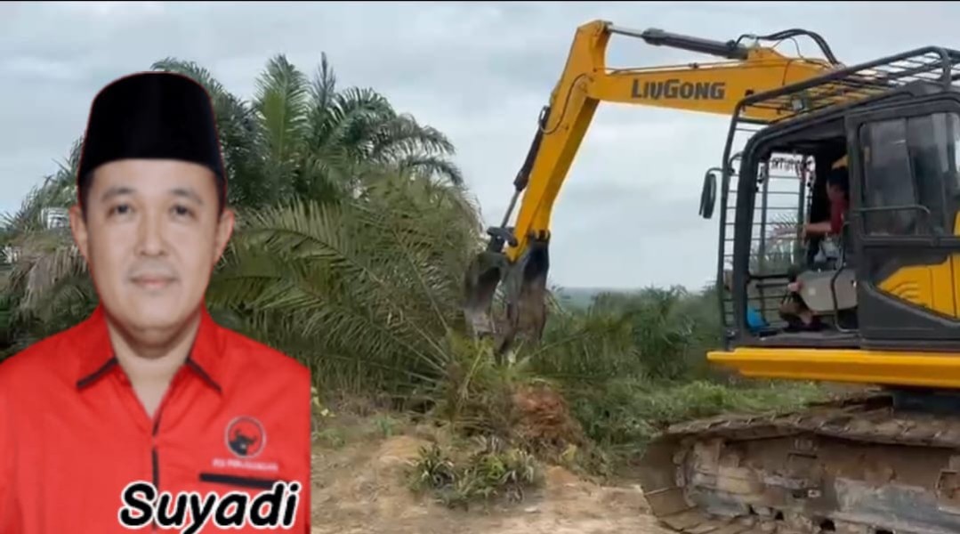 Tanpa Pandang Bulu, Satgas PKH Sikat Kebun Sawit Ilegal TNTN Milik Oknum Anggota DPRD Riau