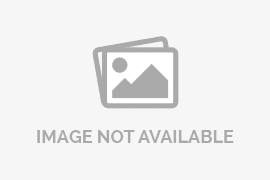 Kejagung Geledah 20 Lokasi di Riau dan Medan Terkait Korupsi Perang Terhadap Mafia Ekspor CPO